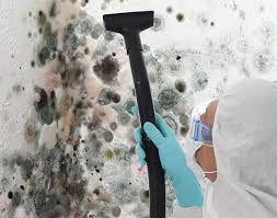 Best Industrial Mold Remediation  in Shannon, MS